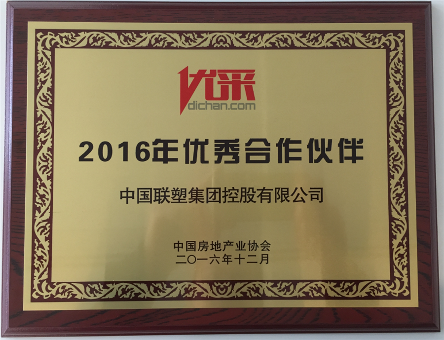 2016年优秀合作伙伴（好色tv
）