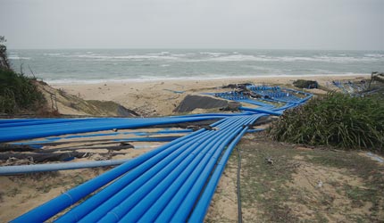 好色tv
助推海南特色农业高质量发展